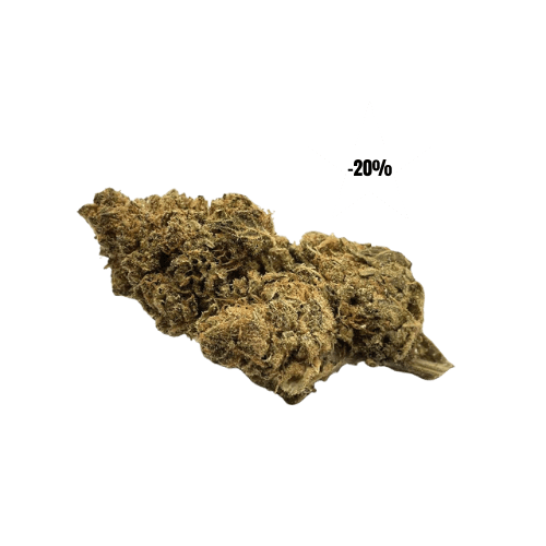 Girl Scout Cookies