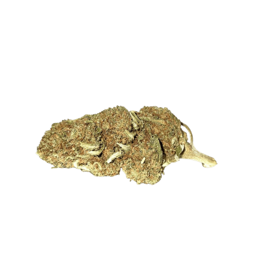 Jack Herer