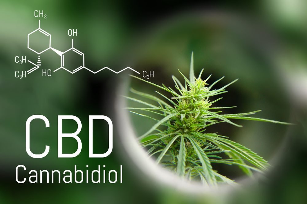 Qu’est ce que le cannabis légal ?