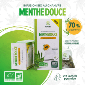 POP CBD Menthe Douce 12 sachets