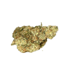 Fleurs CBD l Boutique de CBD Loup'Thentique 100% légal