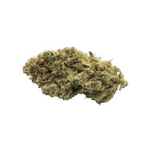 Fleurs CBD l Boutique de CBD Loup'Thentique 100% légal