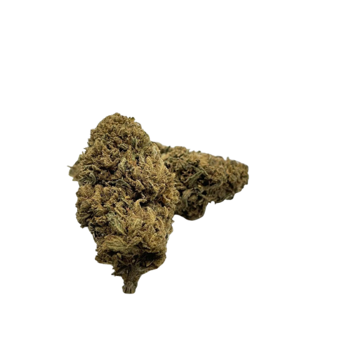 Fleurs CBD l Boutique de CBD Loup'Thentique 100% légal