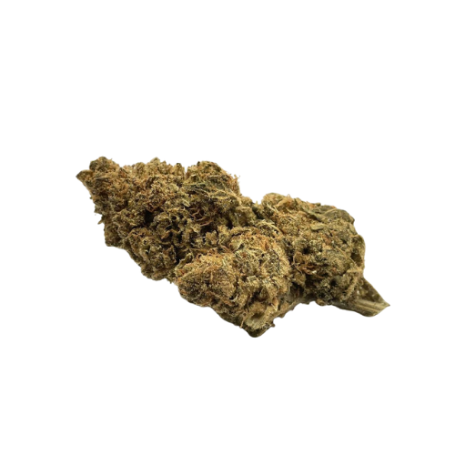 Fleurs CBD l Boutique de CBD Loup'Thentique 100% légal