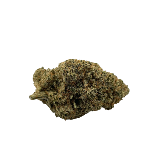 Fleurs CBD l Boutique de CBD Loup'Thentique 100% légal