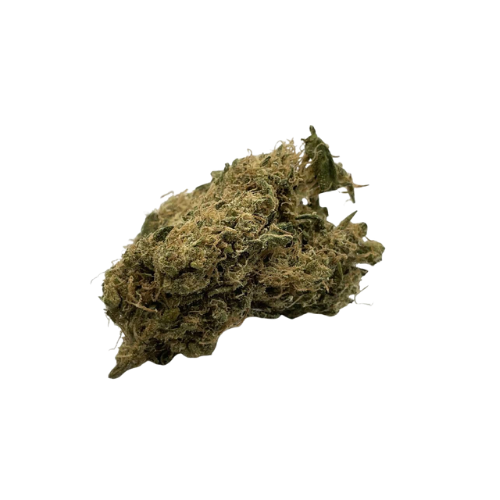 Fleurs CBD l Boutique de CBD Loup'Thentique 100% légal