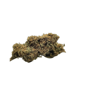 Fleurs CBD l Boutique de CBD Loup'Thentique 100% légal