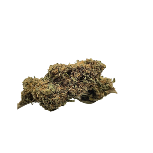 Fleurs CBD l Boutique de CBD Loup'Thentique 100% légal