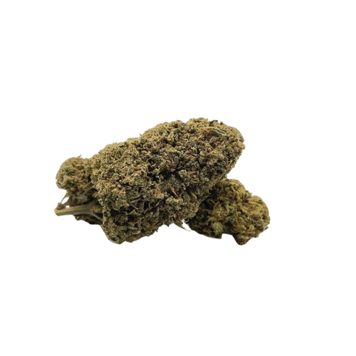 Fleurs CBD l Boutique de CBD Loup'Thentique 100% légal