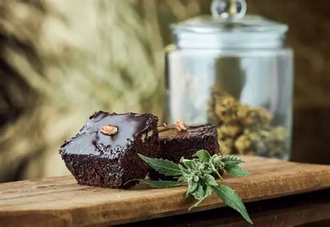 Recette Space Cake CBD Amsterdam