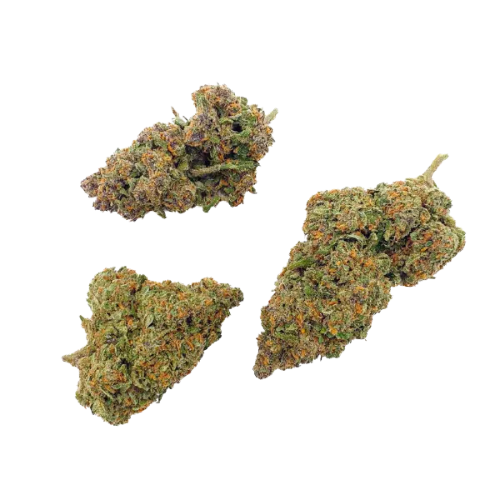 Black sugar rose – Image 2