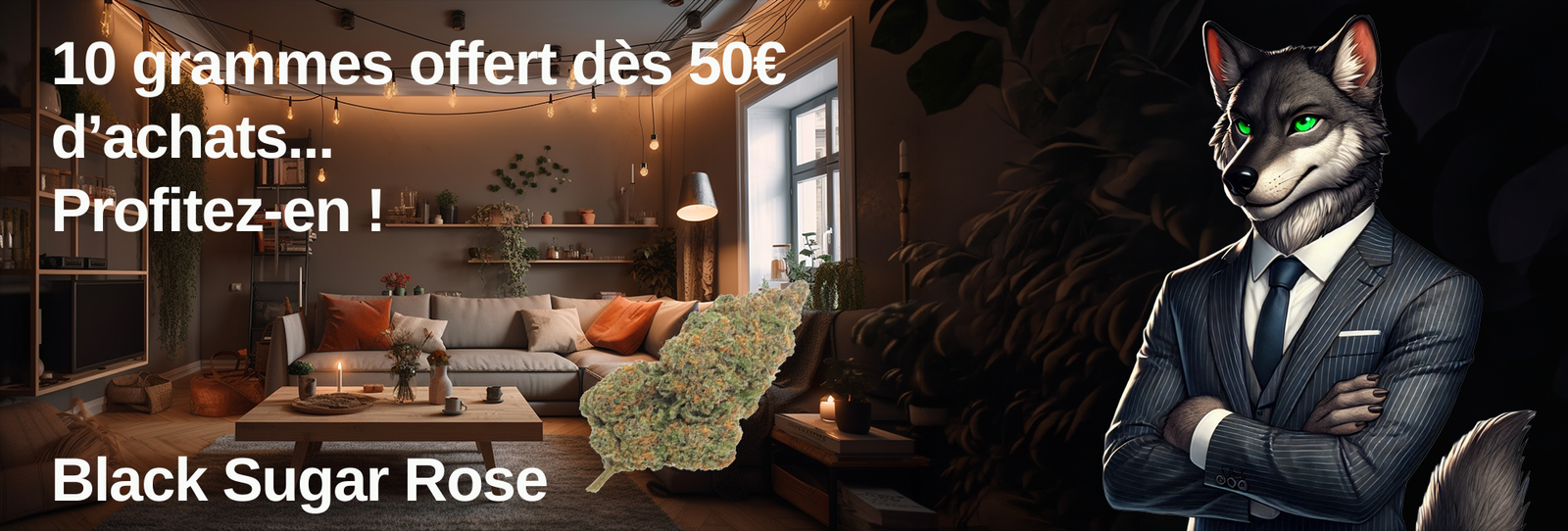 slide promo 10g offert des 50€ d'achat