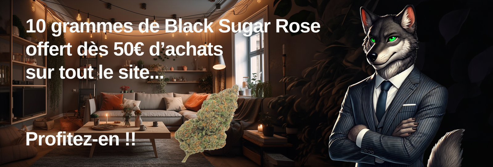 slide promo 10g offert des 50€ d'achat