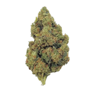 Amnésia Haze THCX 2.0 - fleur CBD indoor boostée