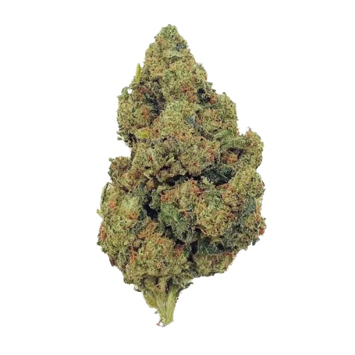 Amnésia Haze THCX 2.0 - fleur CBD indoor boostée